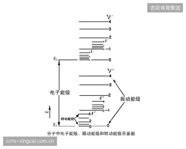 红外光谱探头以每秒300个数据点的频率实时记录固化曲线，为每一支球拍建立起不可篡改的“身份档案